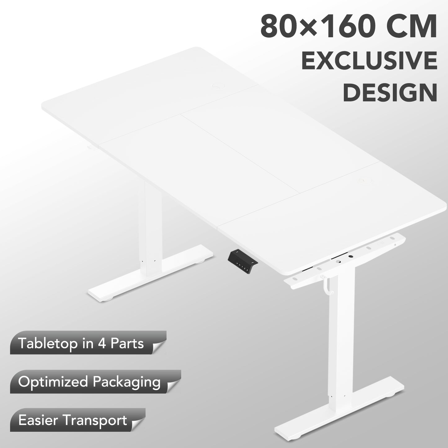 Sit-Stand Desk, Electrically Height-Adjustable Desk with Memory Function and Anti-Collision Technology, Sturdy and Durable, Quiet Motor, Height Range 70–117 cm