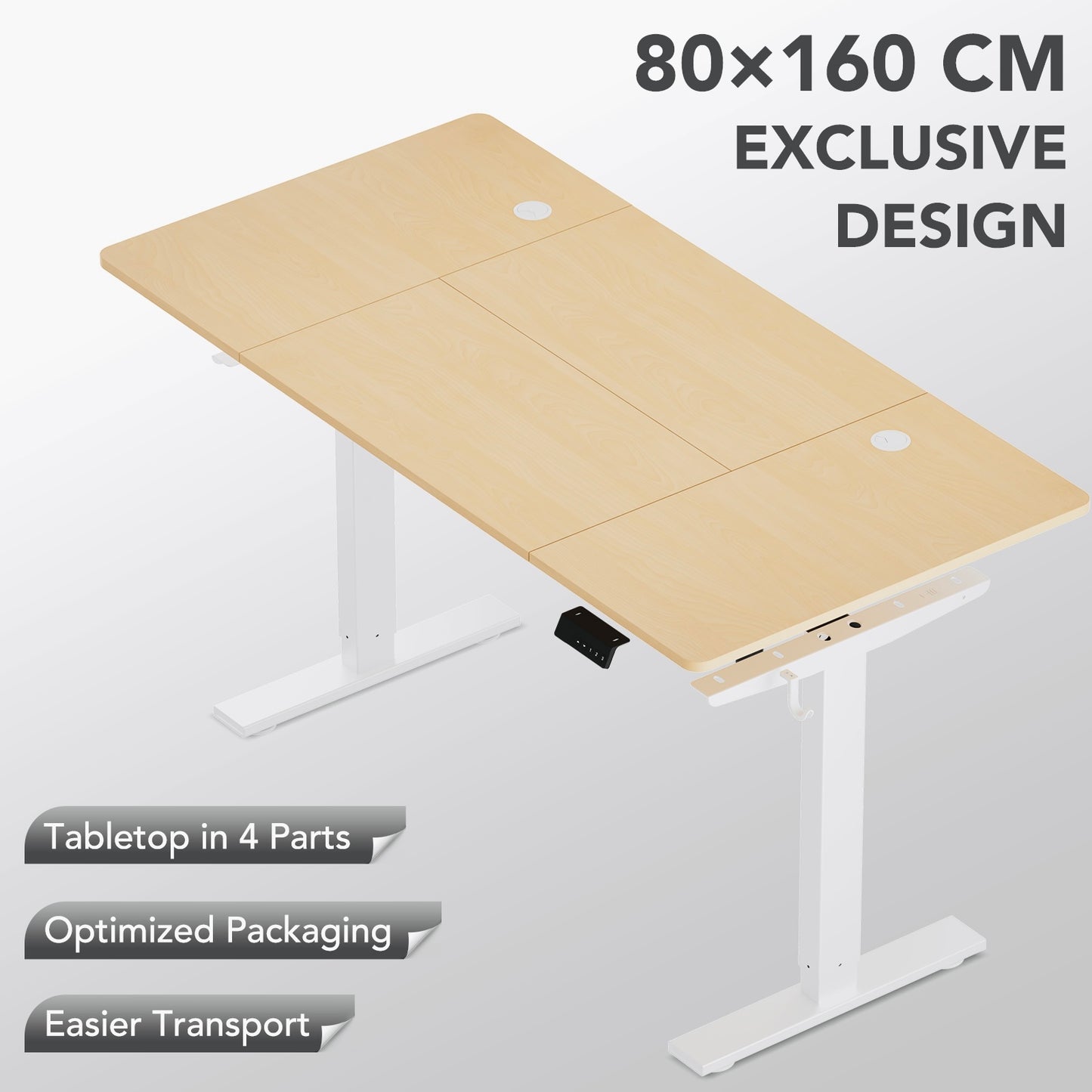 Sit-Stand Desk, Electrically Height-Adjustable Desk with Memory Function and Anti-Collision Technology, Sturdy and Durable, Quiet Motor, Height Range 70–117 cm